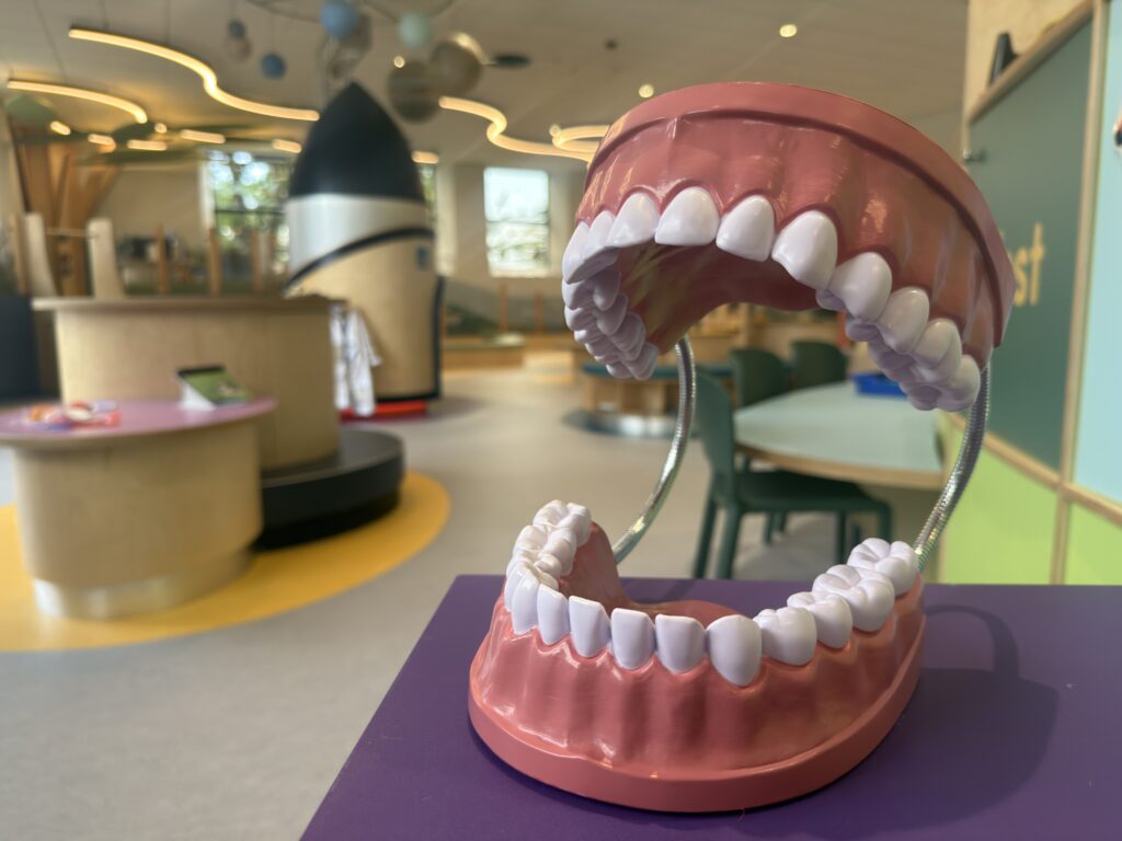 Terrific Teeth